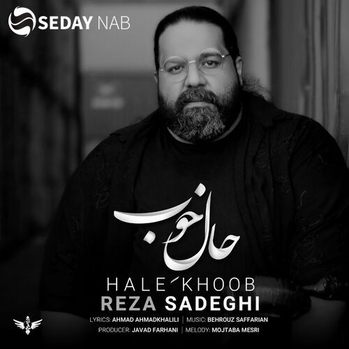 دانلود آهنگ جدید رضا صادقی به نام حال خوب